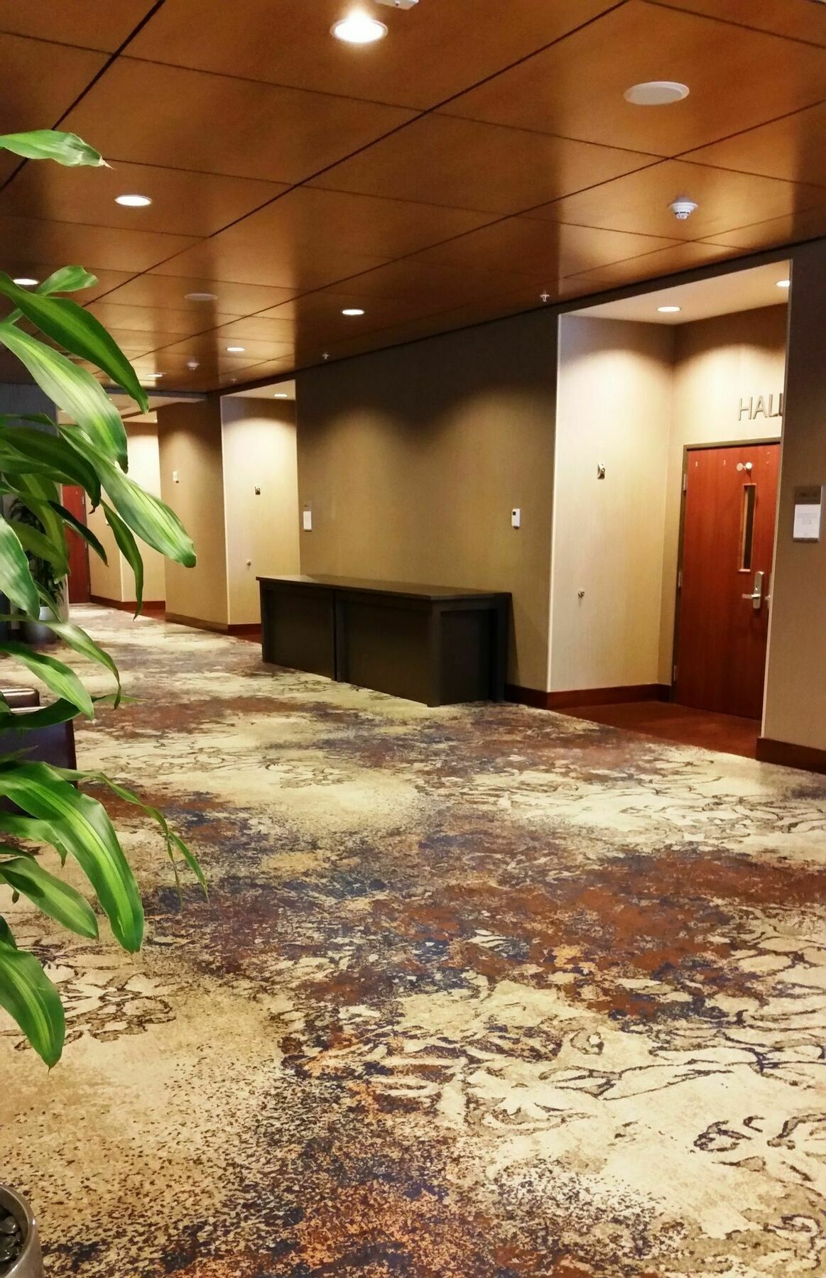 Courtyard By Marriott Seattle Bellevue/Downtown Hotel Exterior photo